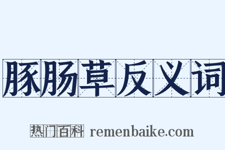 豚肠草反义词是什么意思的图片